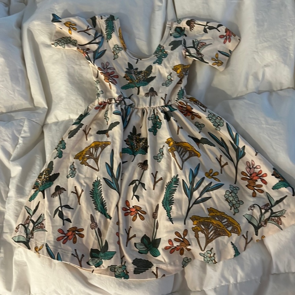 Alice and Ames 3T twirl dress in good used condition